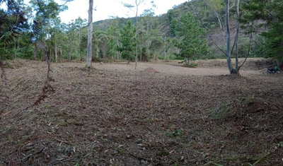 Terreno, 5 hectares - Foto 3