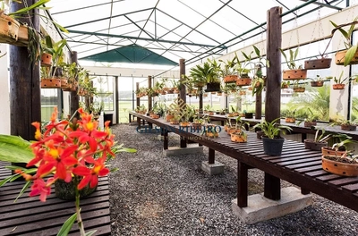 Casa, 3 quartos, 264 m² - Foto 4