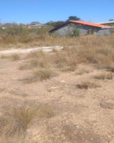 Terreno, 800 m² - Foto 4