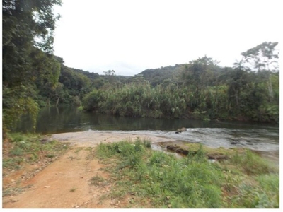 Sítio, 25 hectares - Foto 3