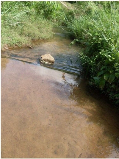 Sítio, 17 hectares - Foto 2