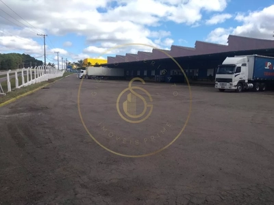 Imóvel Comercial - Foto 5