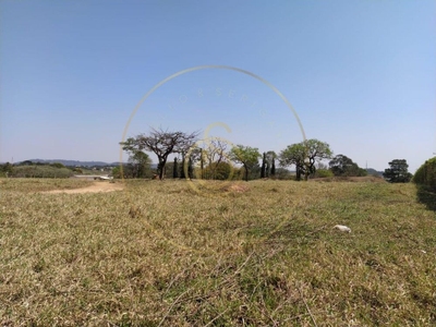 Imóvel Comercial - Foto 1