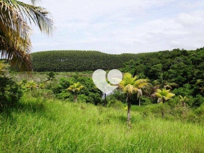 Loteamento e Condomínio, 2600 m² - Foto 3