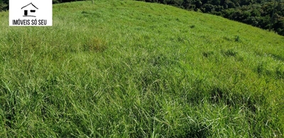 Fazenda-Sítio-Chácara, 87 hectares - Foto 3