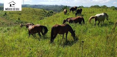 Fazenda-Sítio-Chácara, 87 hectares - Foto 1