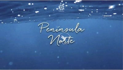 Casa, 4 quartos, 204 m² - Foto 3