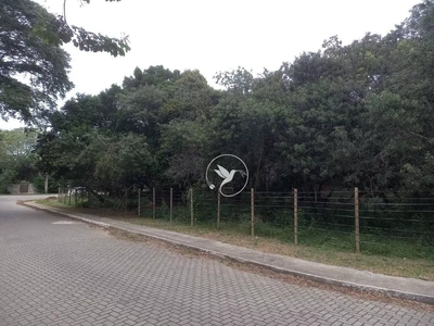 Terreno, 1302 m² - Foto 5