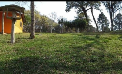 Chácara, 8291 m² - Foto 4