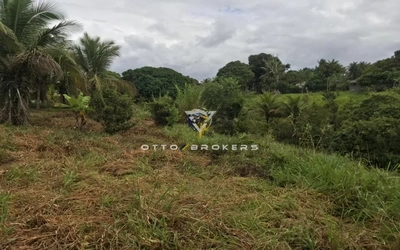 Terreno, 7500 m² - Foto 5