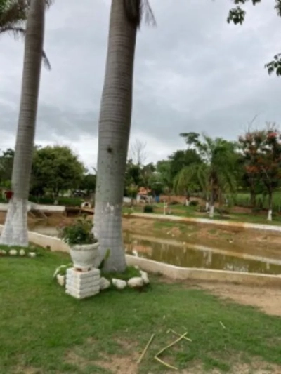 Sítio, 7 quartos, 300 m² - Foto 2