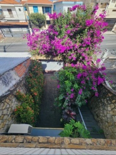 Casa, 4 quartos, 349 m² - Foto 5