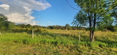 Terreno, 6000 m² - Foto 3