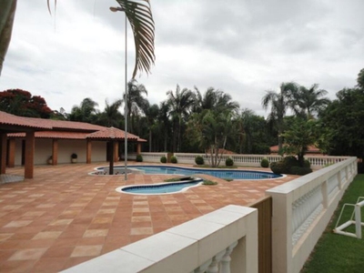 Chácara, 2 hectares - Foto 4