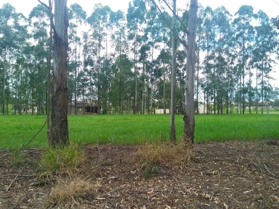 Terreno, 450 m² - Foto 3