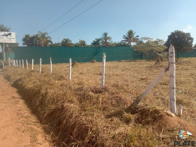 Terreno, 4452 m² - Foto 4