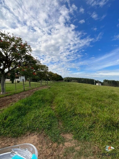 Fazenda-Sítio-Chácara, 17 hectares - Foto 5
