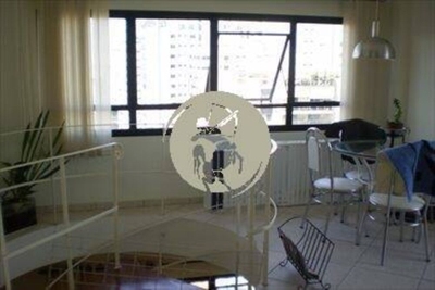 Cobertura, 4 quartos, 484 m² - Foto 4