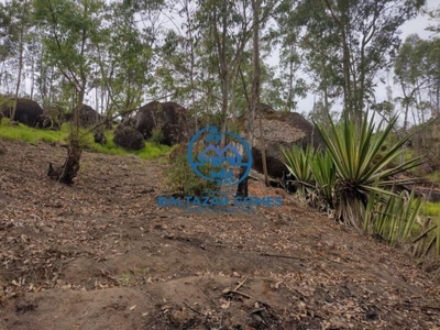 Terreno, 1000 m² - Foto 2