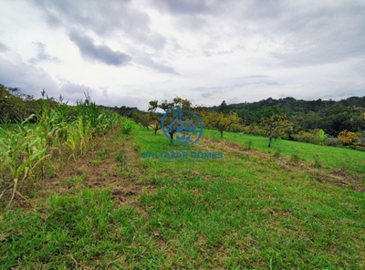Chácara, 3 quartos, 2 hectares - Foto 4