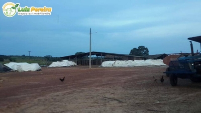 Terreno, 3264 m² - Foto 4