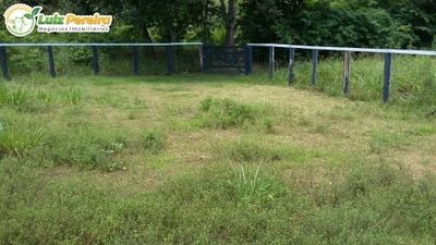 Terreno, 701 m² - Foto 4