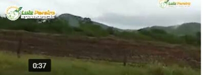 Terreno, 1000 m² - Foto 2