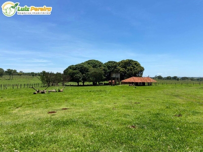 Terreno, 451 hectares - Foto 3