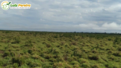 Terreno, 1210 hectares - Foto 2