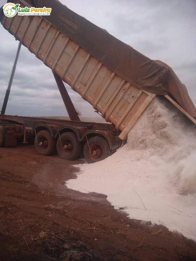 Terreno, 410 hectares - Foto 3