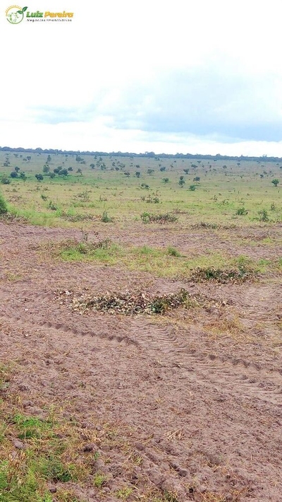 Terreno, 1 hectares - Foto 2