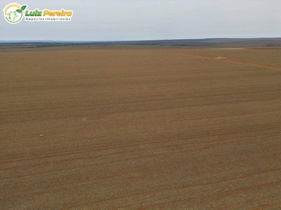 Terreno, 2 hectares - Foto 3