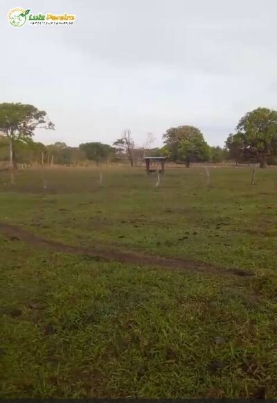 Terreno, 2129 m² - Foto 1