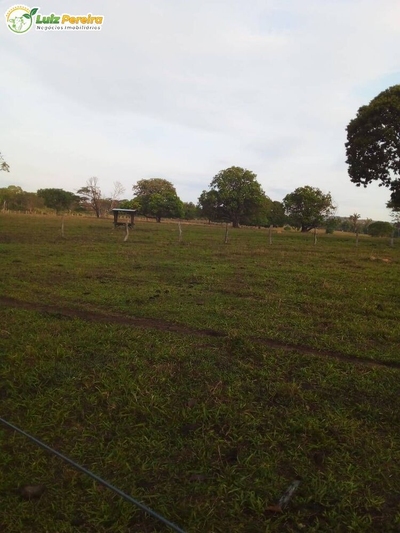 Terreno, 2129 m² - Foto 2