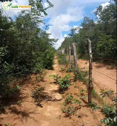 Terreno, 472 m² - Foto 2