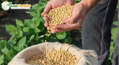 Terreno, 2244 m² - Foto 3