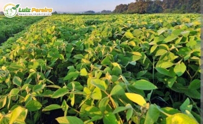 Terreno, 2244 m² - Foto 2