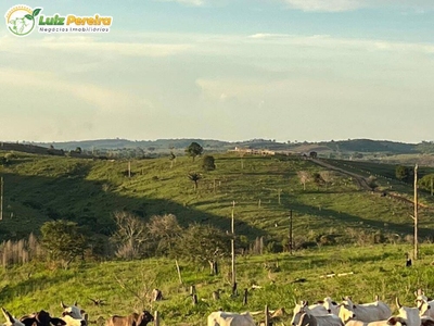 Terreno, 498 m² - Foto 1