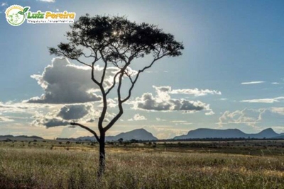 Terreno, 1160 m² - Foto 1