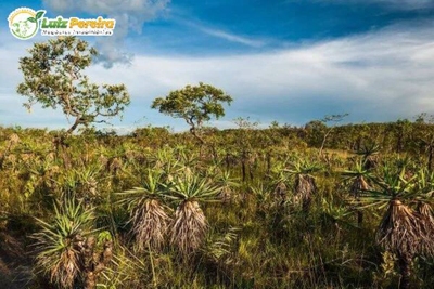 Terreno, 1160 m² - Foto 4