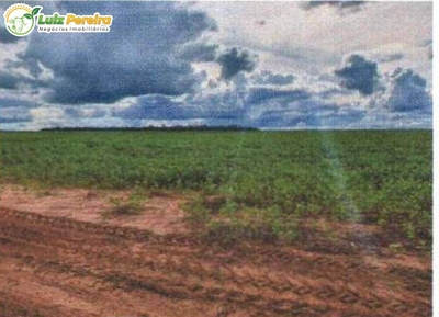 Terreno, 2500 m² - Foto 3