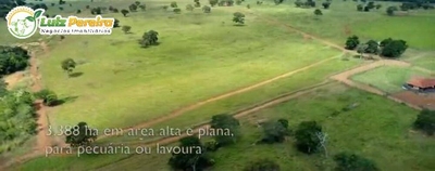 Terreno, 1 hectares - Foto 1