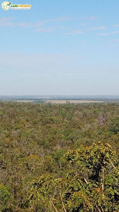 Terreno, 2904 m² - Foto 3