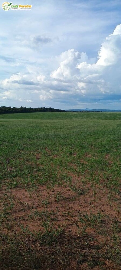 Terreno, 1654 m² - Foto 2