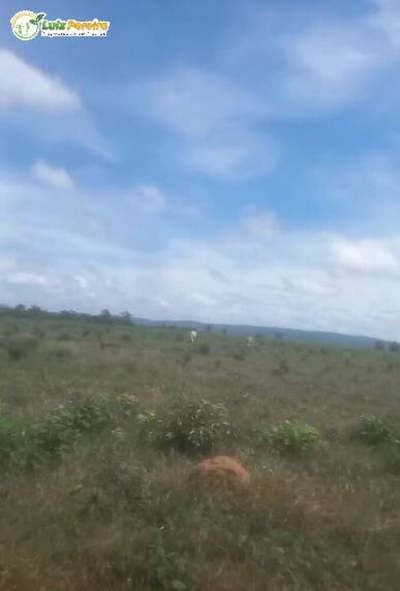 Terreno, 4840 m² - Foto 2