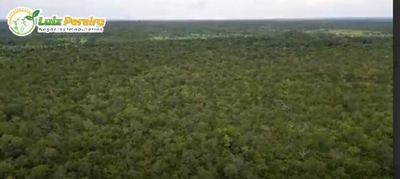 Terreno, 340 hectares - Foto 2