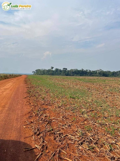 Terreno, 1744 m² - Foto 3