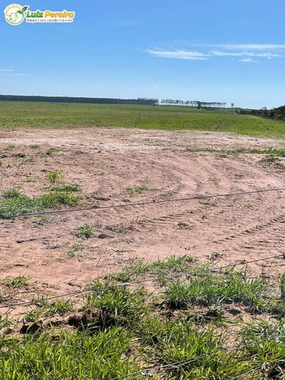 Terreno, 1280 m² - Foto 3