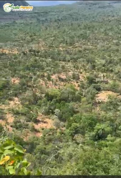 Terreno, 2904 m² - Foto 2