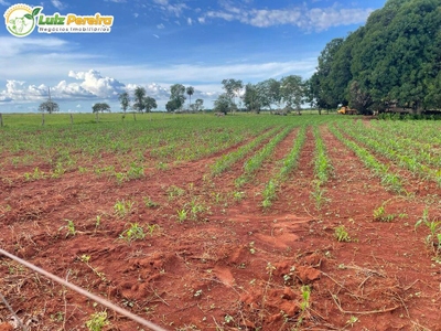 Terreno, 1694 m² - Foto 3